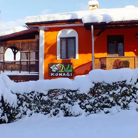 Dilek Konagi Hotel Sapanca