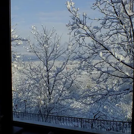 Dilek Konagi Hotel Sapanca