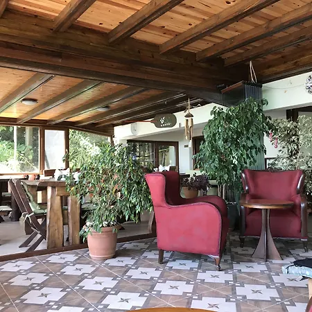 Hotel Dilek Konagi