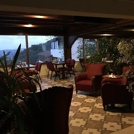 Sapanca Dilek Konagi 3*