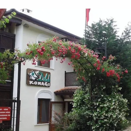 Hotel Dilek Konagi