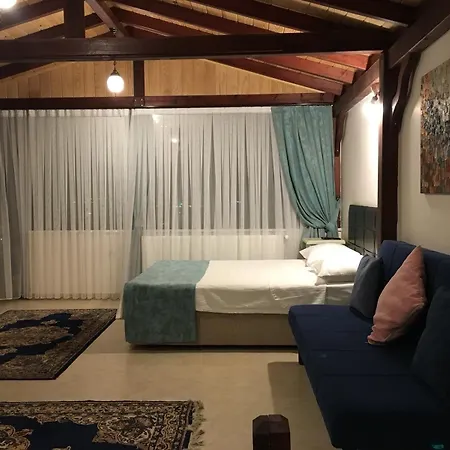 Sapanca Dilek Konagi 酒店 3*