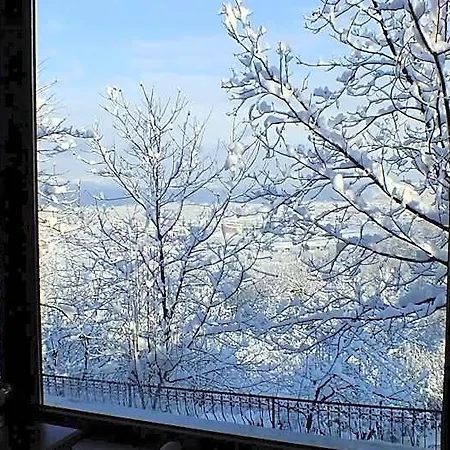 Hotel Dilek Konagi