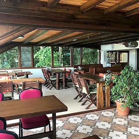 Hotel Dilek Konagi
