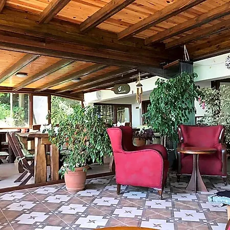 Hotel Dilek Konagi 3*