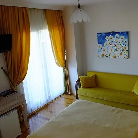 Dilek Konagi 3*