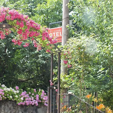 Dilek Konagi Hotel 3*