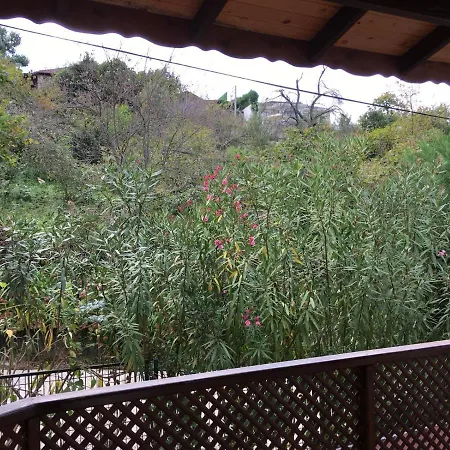 Hotel Dilek Konagi 3*