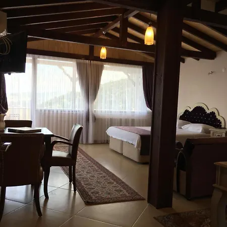 Dilek Konagi 3* Mudanya