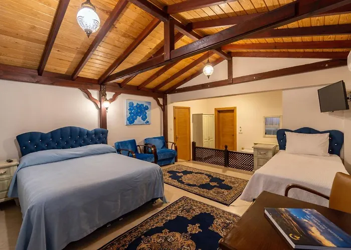 Sapanca Dilek Konagi 3*