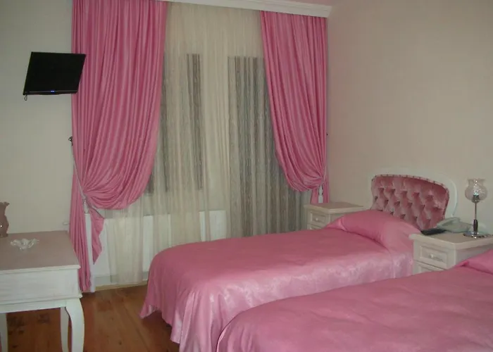 Sapanca Dilek Konagi 3* Mudanya