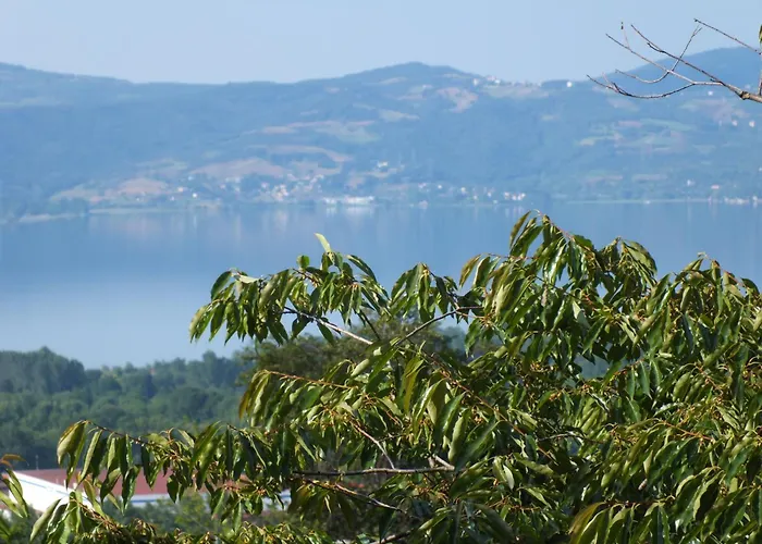 Sapanca Dilek Konagi 3* Mudanya