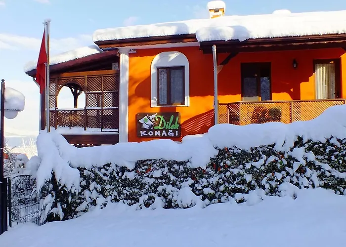 Sapanca Dilek Konagi Hotel Mudanya