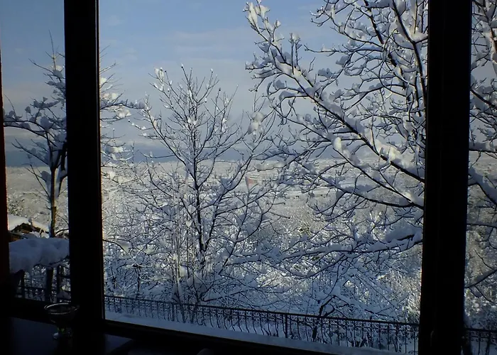 Sapanca Dilek Konagi Hotel Mudanya