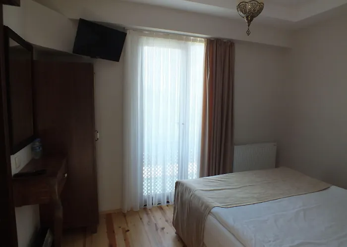 Sapanca Dilek Konagi Hotel Mudanya