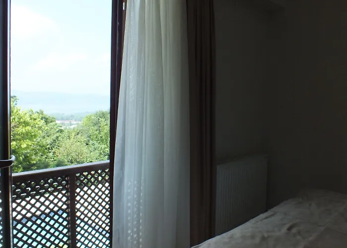 Sapanca Dilek Konagi 3* Mudanya