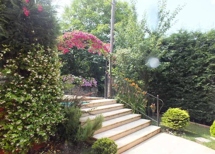 Sapanca Dilek Konagi Hotel 3*