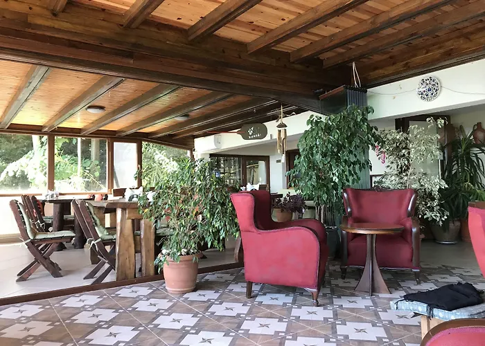 Hotel Sapanca Dilek Konagi