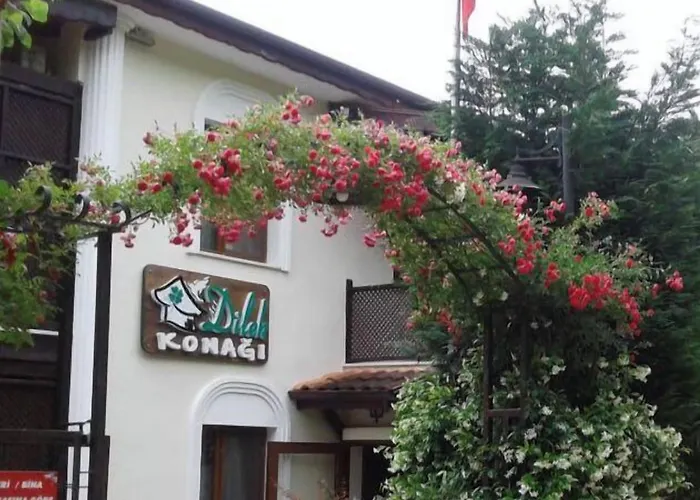 Hotel Sapanca Dilek Konagi
