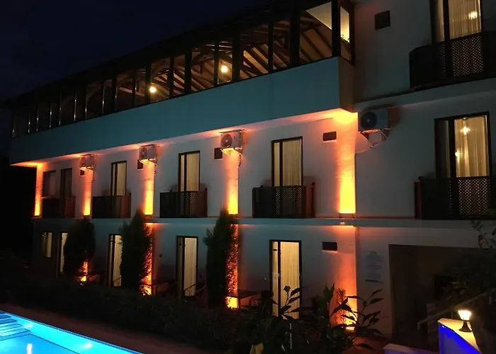 Sapanca Dilek Konagi 3* Mudanya