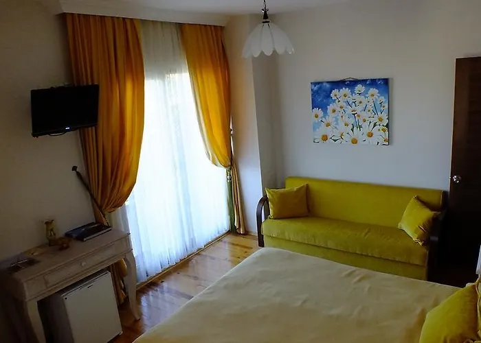 Sapanca Dilek Konagi 3*