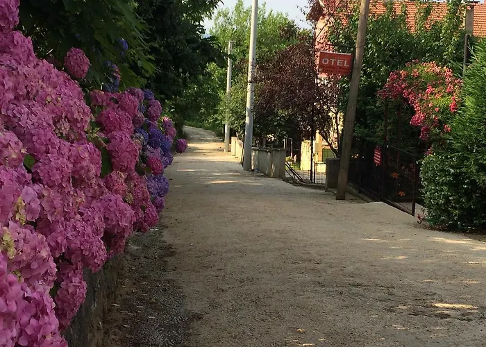 Sapanca Dilek Konagi 3* Mudanya