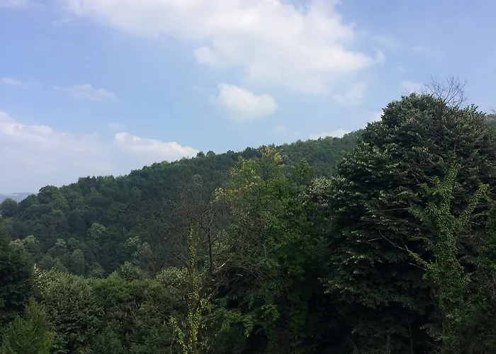 Sapanca Dilek Konagi Mudanya