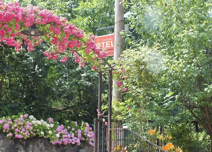 Sapanca Dilek Konagi Hotel 3*