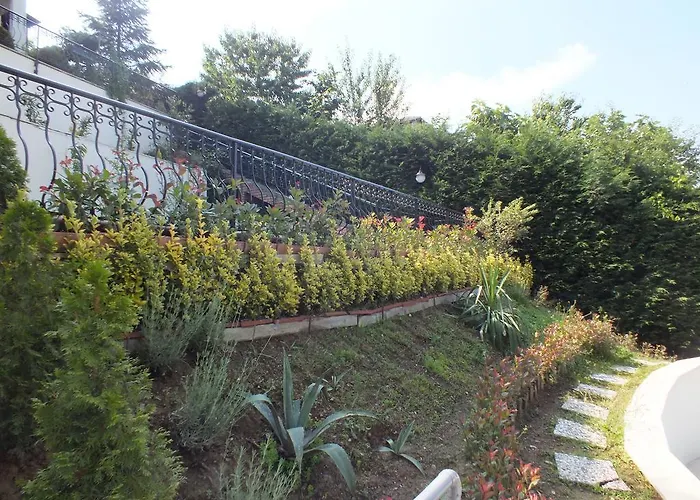 Sapanca Dilek Konagi Mudanya