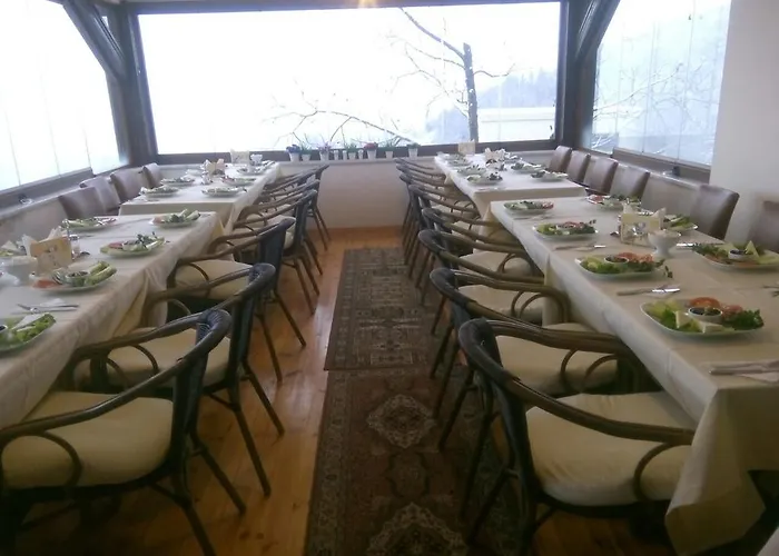 Hotel Sapanca Dilek Konagi