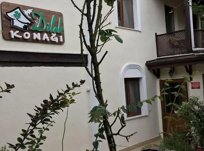 Sapanca Dilek Konagi