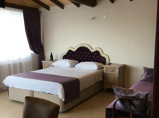 Hotel Sapanca Dilek Konagi 3*