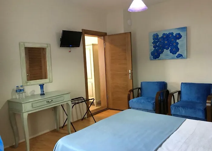Sapanca Dilek Konagi Hotel 3*