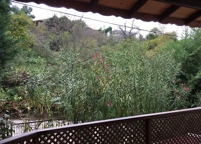 Hotel Sapanca Dilek Konagi 3*