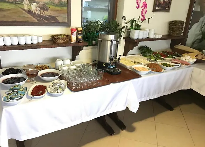 Sapanca Dilek Konagi 3* Mudanya