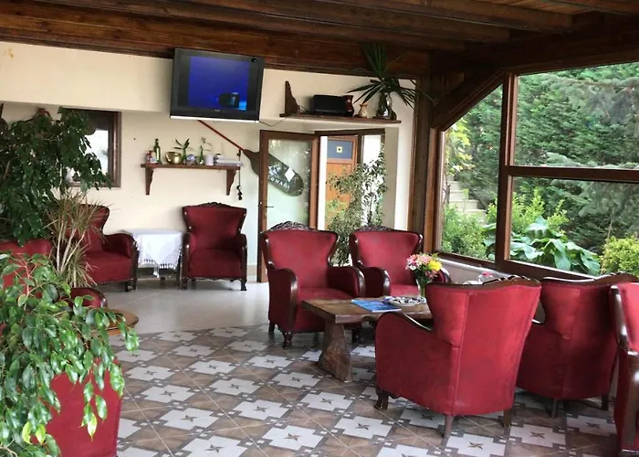 Hotel Sapanca Dilek Konagi 3*
