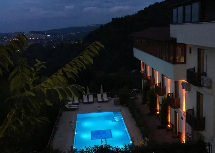 Hotel Sapanca Dilek Konagi 3*