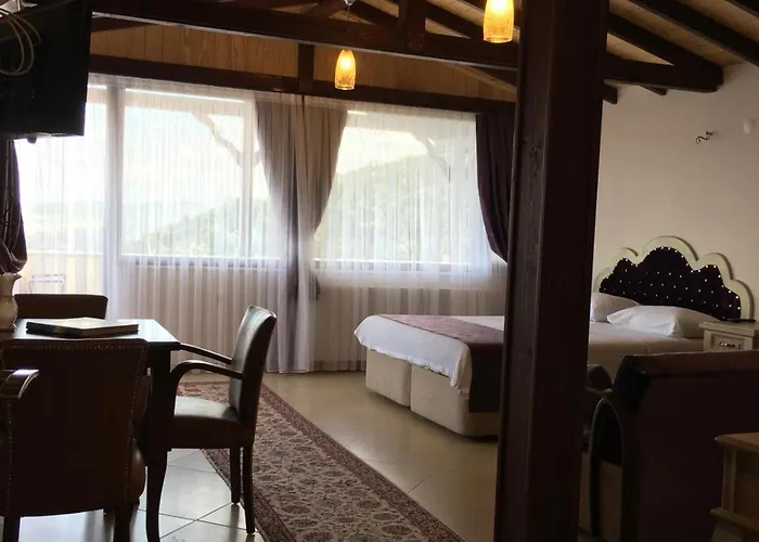 Sapanca Dilek Konagi 3* Mudanya