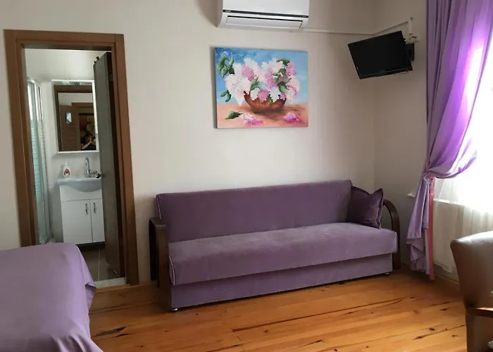 Hotel Sapanca Dilek Konagi 3*