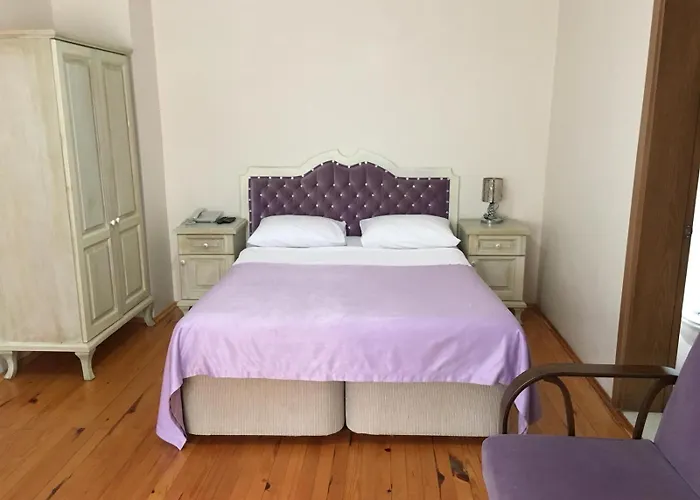 Sapanca Dilek Konagi Hotel 3*