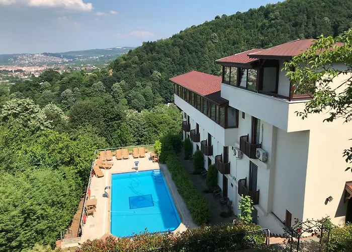 Hotel Sapanca Dilek Konagi